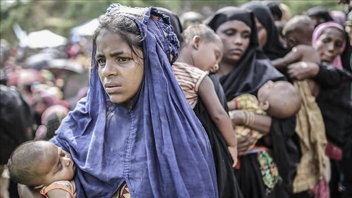 20% of the Rohingya population in Cox's Bazar camps have tested positive for hepatitis C