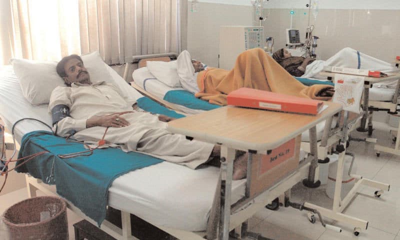 More than 1200 Pakistanis have been hospitalized due to excessive meat consumption during Eid-ul-Adha