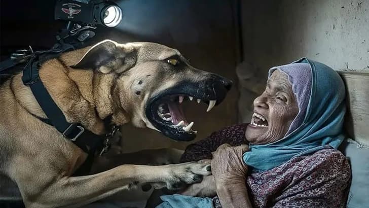 Israeli soldiers set dogs on sleeping Palestinian woman
