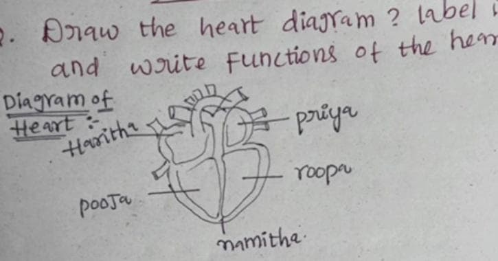 Indian student lists 5 crushes in heart chamber diagram in exam