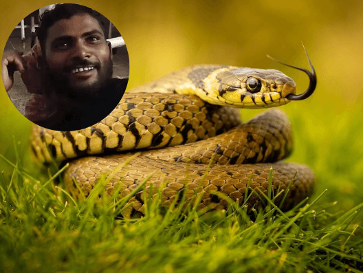 Man bitten by snake, bit the snake twice in return causing the snakes death