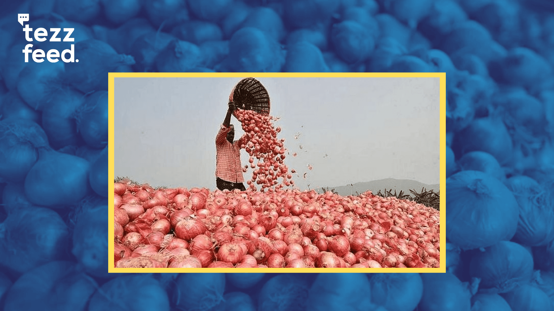 Govt stops onion imports from India indefinitely to support local farmers