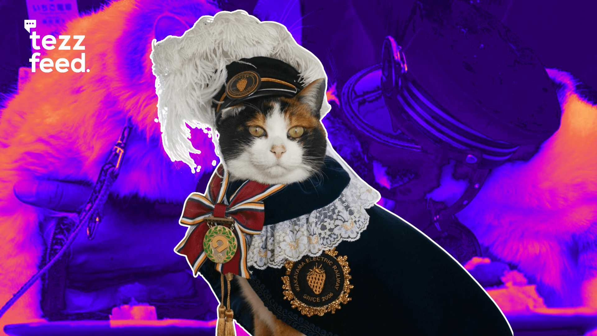 Cat Becomes Official Stationmaster at Japan’s Kishi Station