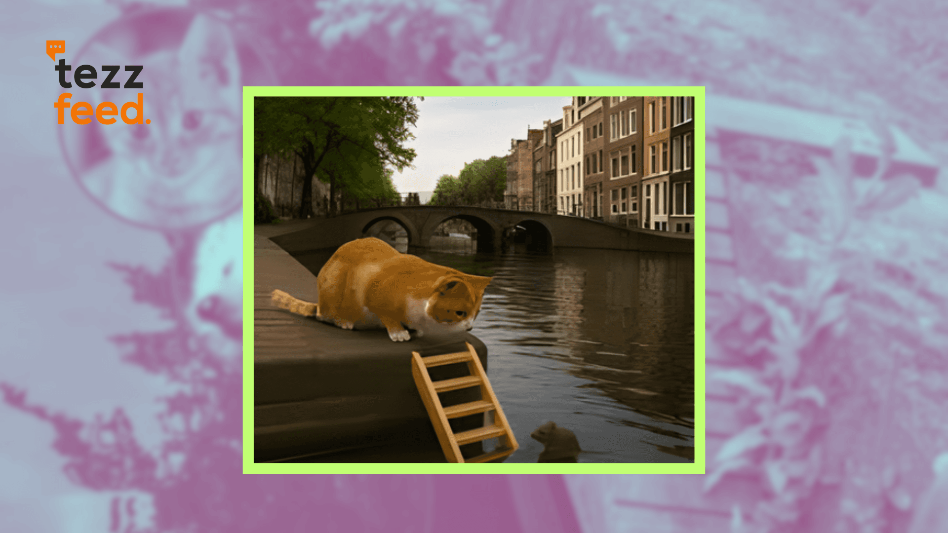 Amsterdam to Install Mini Staircases to Rescue Cats from Canals