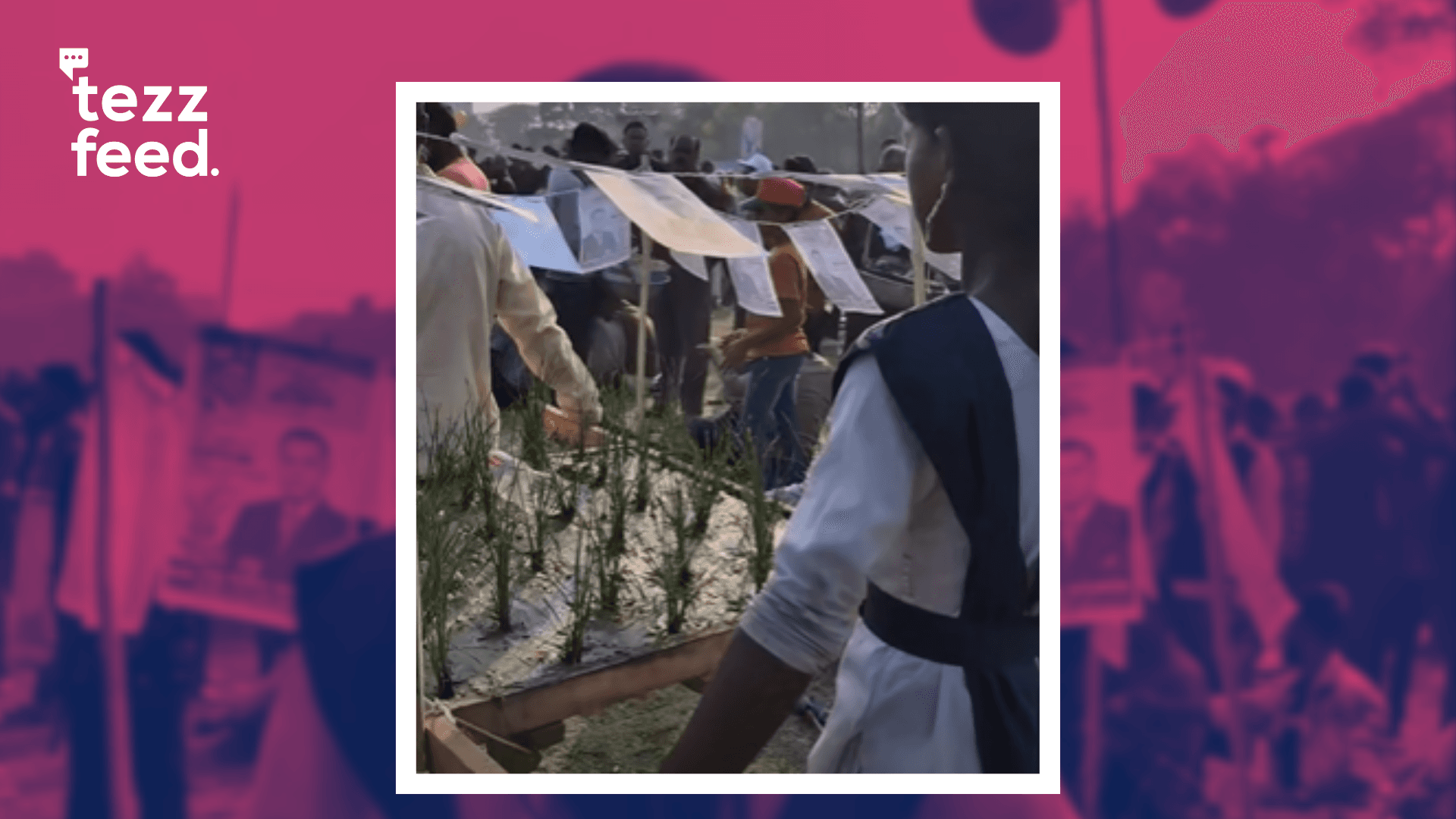 Father, Daughter Bring Real Paddy Field to Tarique Rahman’s Rally as ‘Dhaner Shish’ Symbol
