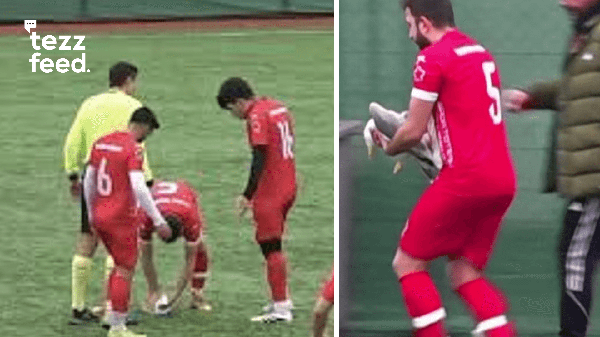 Footballer Brings Seagull Back to Life With CPR After It’s Hit by Ball