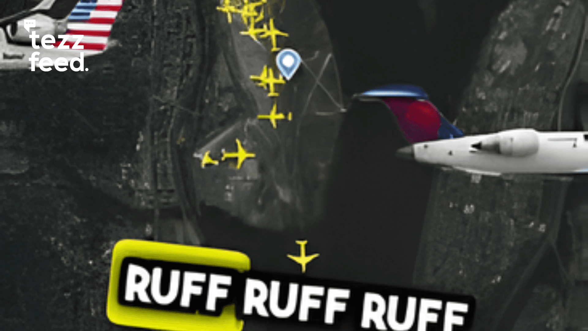 Pilots Go Viral for Making ‘Meow’ and ‘Ruff Ruff’ Sounds Over Live Air Radio