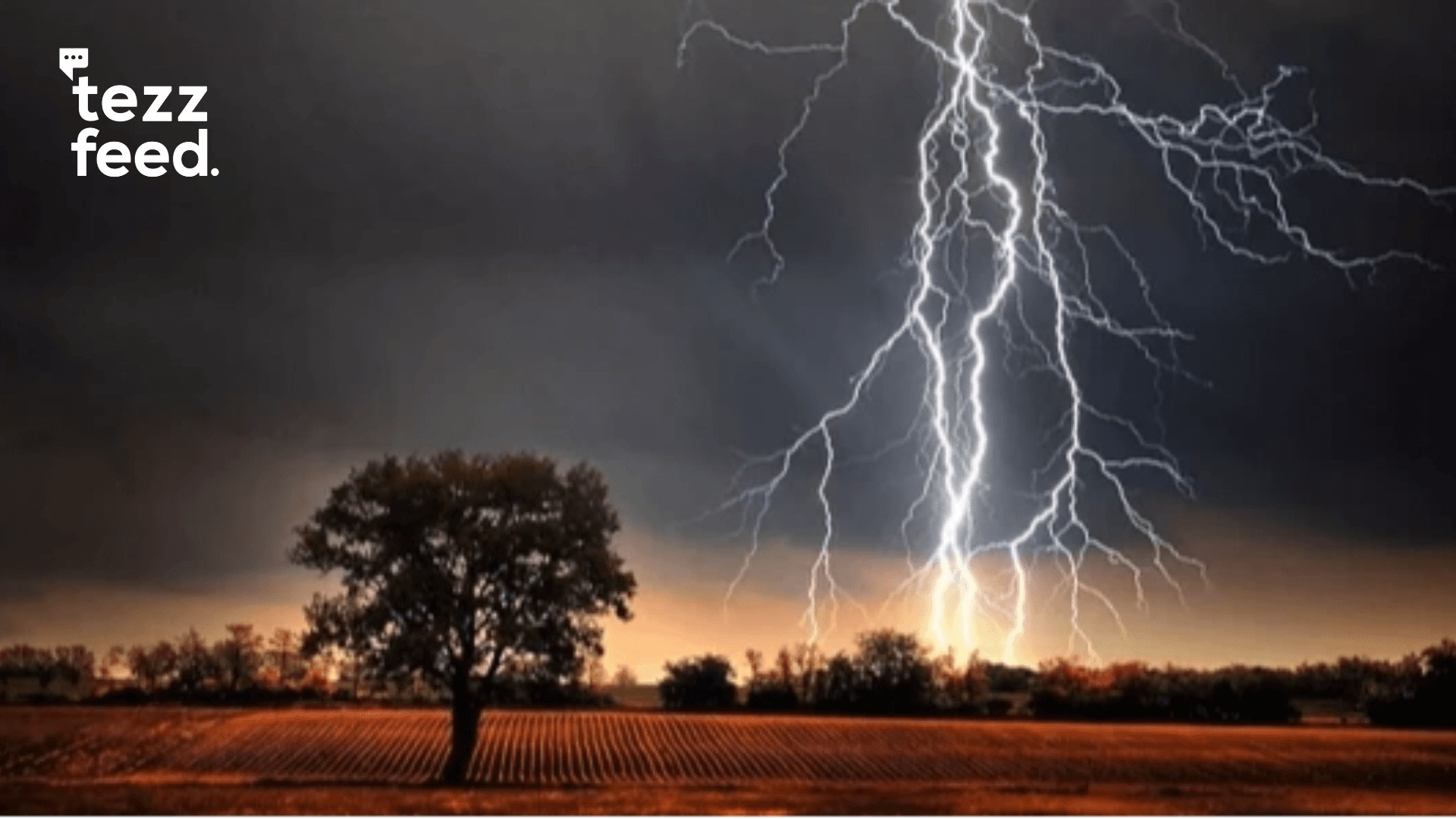 At Least 15 Killed in Lightning Strikes Across Eight Districts on Sunday