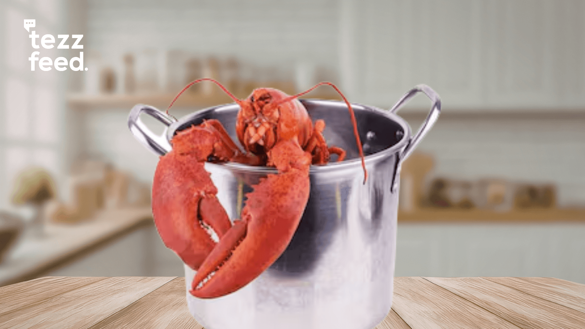 New Study Confirms Lobsters Feel Pain, Scientists Demand Ban on Boiling Them Alive