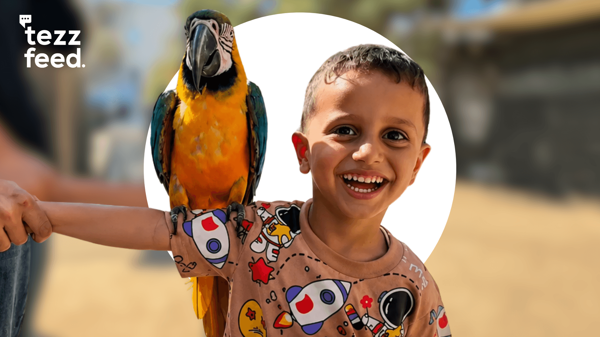 Temporary Zoo Brings Happiness to Children in Gaza During Eid Celebrations in Nuseirat Camp