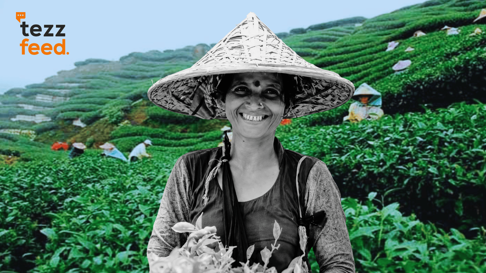 Tea Worker Dies After Falling Into Deep Drain While Carrying 25–30kg of Tea Leaves