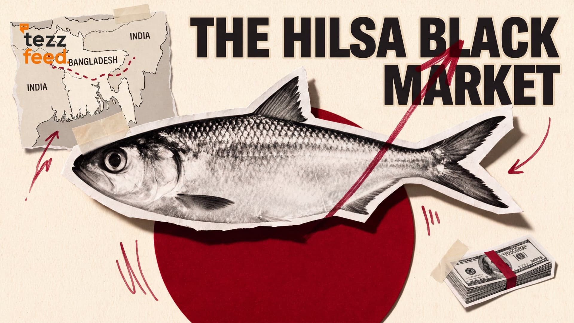The hilsa black market and politics